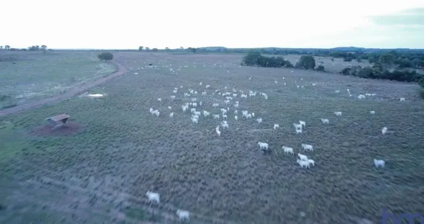 Fazenda à venda na Estrada Vicinal Municipal de Novo Mundo, Km 19,8, Zona Rural, Mundo Novo