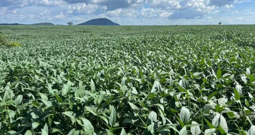Fazenda com 206 alqueires para agricultura em silvanópolis-to