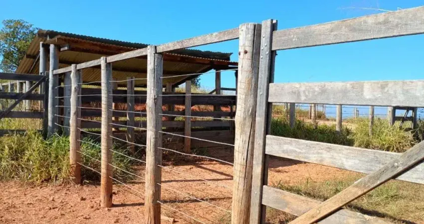 Fazenda com 58 alqueires paulistas de dupla aptidão em bambuí-mg