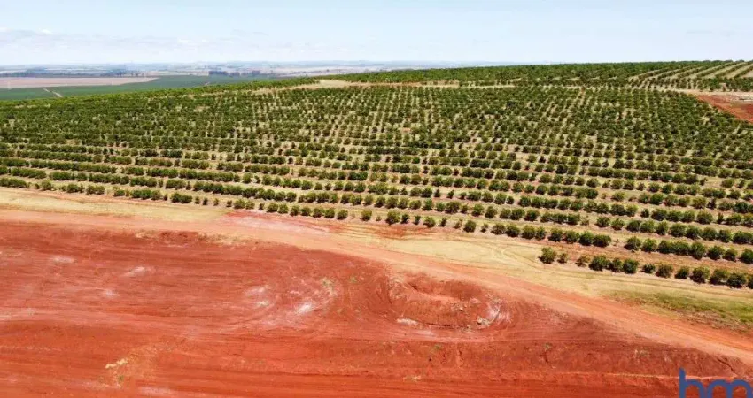Fazenda com 950 alqueires de dupla aptidão na região de avaré-sp