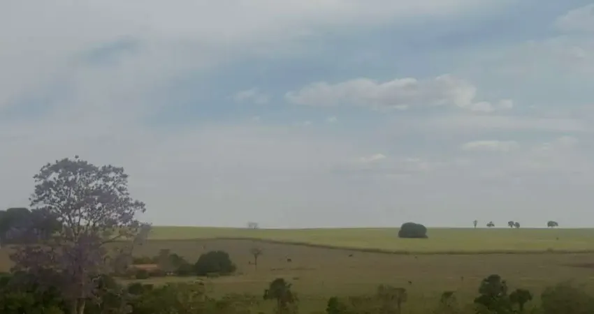 Fazenda com 71 alqueires dupla aptidão com cana arrendada em frutal-mg