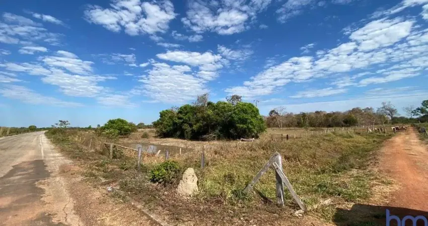 Fazenda com 202 alqueires de dupla aptidão às margens do rio javaés em formoso do araguaia-to