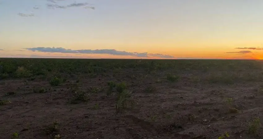 Fazenda de dupla aptidão com 2.900 alqueires situada no município de bom jesus do piauí-pi