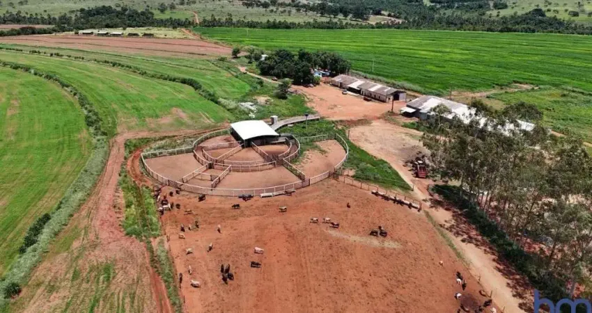 Fazenda de dupla aptidão com 39 alqueires com confinamento em uberlândia-mg