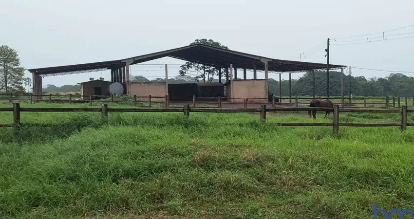 Fazenda para arrendamento agrícola com 1.900 hectares em primavera do leste-mt