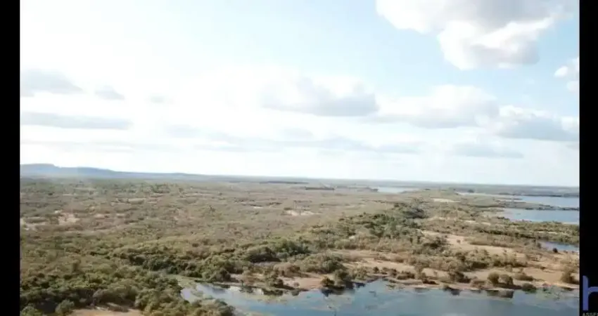 Fazenda com 4.000 hectares de dupla aptidão em vegetação nativa em campo maior-pi