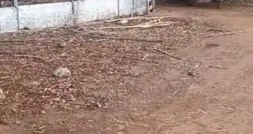 Fazenda à venda na Estrada Vicinal Municipal de Amaralina, Km 4, Zona Rural, Amaralina