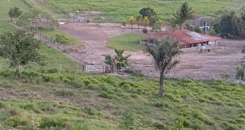 Oportunidade fazenda com 920 alqueires para pecuária em altamira-pa