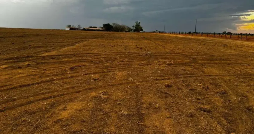 Fazenda à venda na Estrada Vicinal Municipal de Xinguara, Km 45, Área Rural de Xinguara, Xinguara
