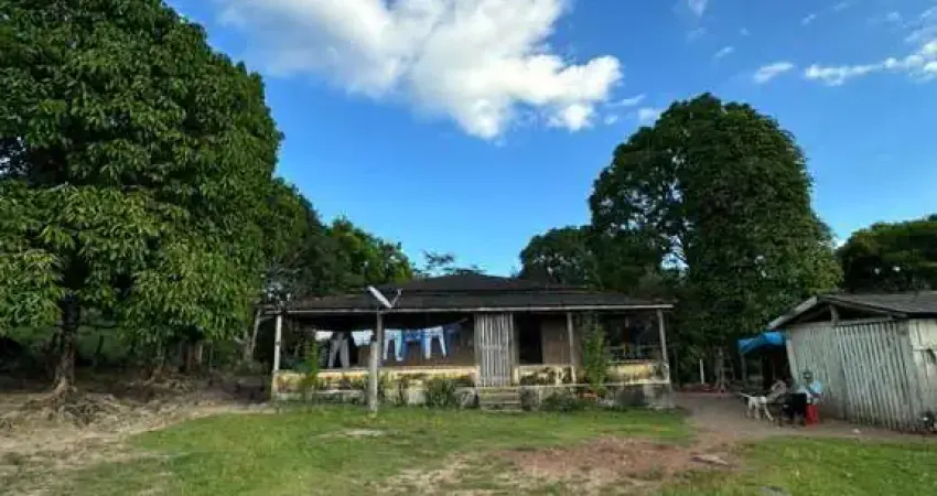 Fazenda com 100 alqueires para pecuária bem localizada em altamira-pa