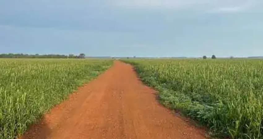 Fazenda com 206 alqueires de dupla aptidão em montes claros de goiás-go