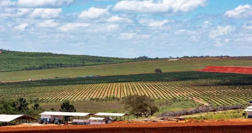 Fazenda de café com 1240 alqueires paulistas à venda em augusto de lima-mg