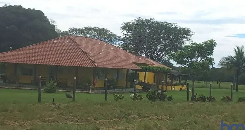 Fazenda com 930 alqueires de dupla aptidão montada para pecuária em mundo novo-go