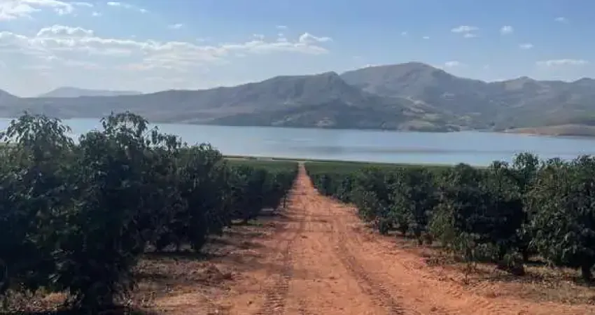 Fazenda multiplas aptidões com 390 hectares em carmo do rio claro-mg