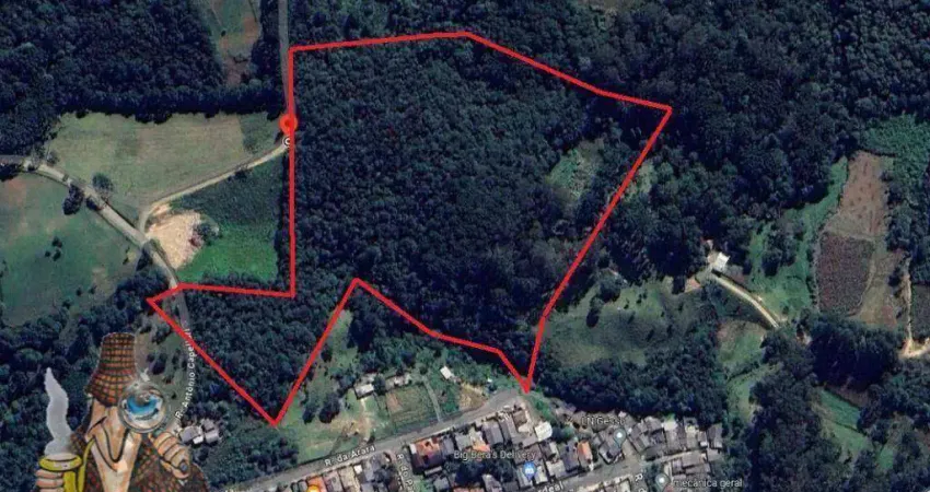 Área à venda, 36164 m² por r$ 500.000,00 - arruda - colombo/pr