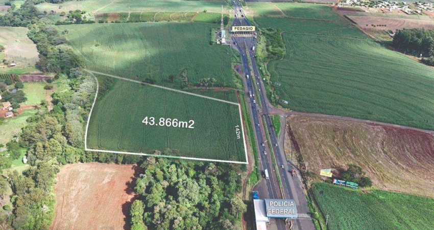 Terreno à venda próximo a entrada de Mandaguari, com 43.866 m²