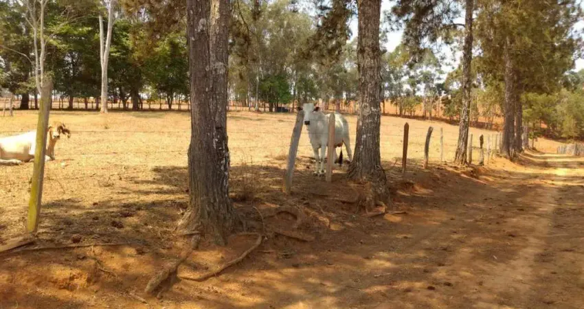 Fazenda à venda, 1282600 m² por r$ 8.000.000,00 - sao joao da mata - são joão da mata/mg