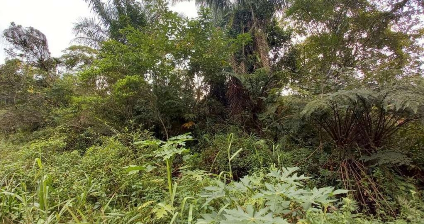 Terreno à venda no Jardim São Francisco, Peruíbe 