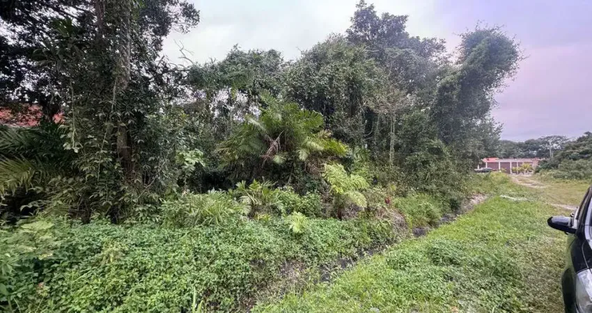 Terreno à venda no Balneário Califórnia, Itanhaém 