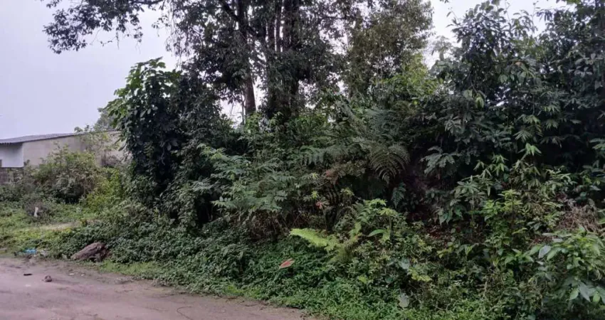 Terreno à venda no Jardim Coronel, Itanhaém 