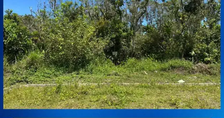 Terreno à venda no Balneario Fênix, Itanhaém 