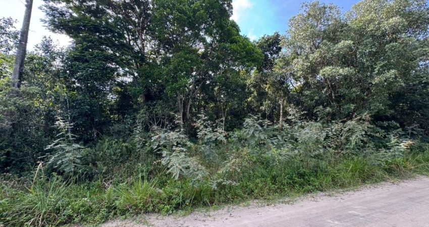 Terreno à venda na Av. Marginal 2, 11464, Bopiranga, Itanhaém