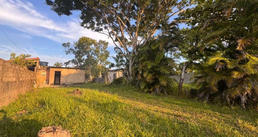 Chácara para Venda em Itanhaém, Sítio Velho, 1 dormitório, 1 banheiro