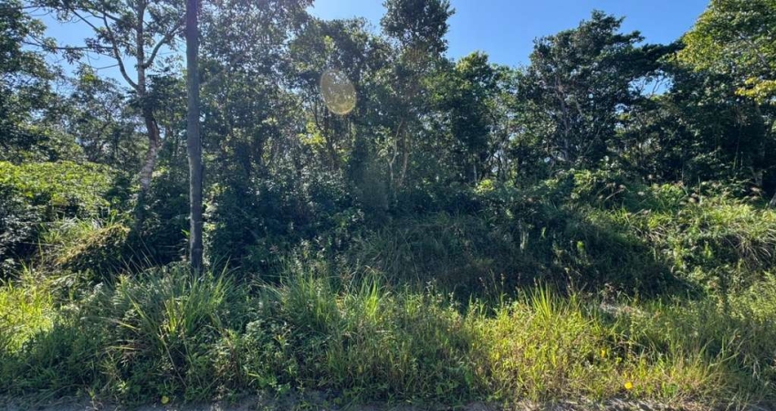 Terreno à venda na Avenida Marginal, 11464, São Fernando, Itanhaém