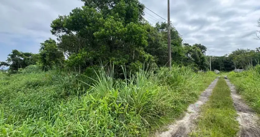 Terreno à venda na Avenida Marginal, 11464, Gaivota (Praia), Itanhaém