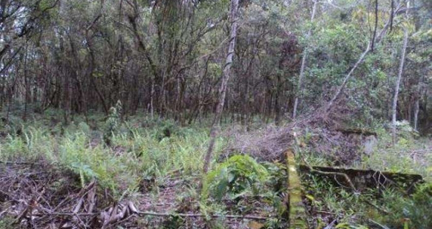 Chácara / sítio à venda no Balneário Gaivota, Itanhaém 