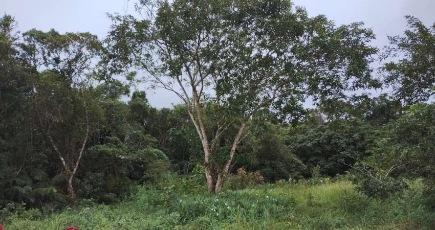 Terreno à venda no Balneário Gaivota, Itanhaém 
