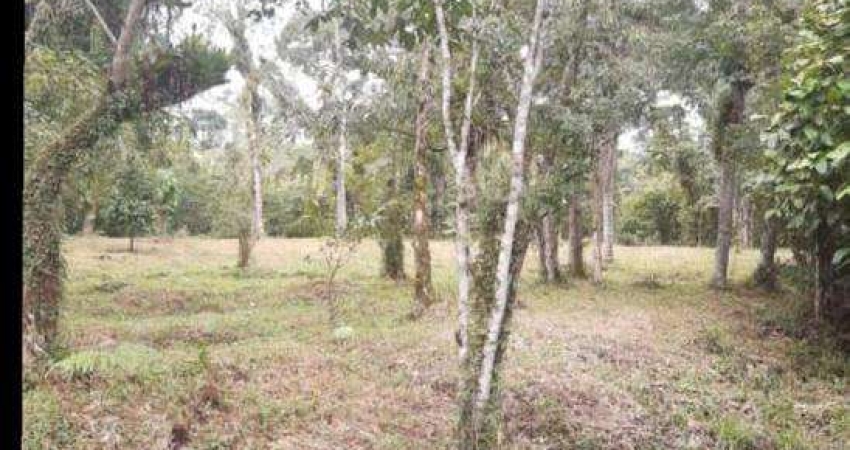 Terreno à venda no Parque Vergara, Itanhaém 