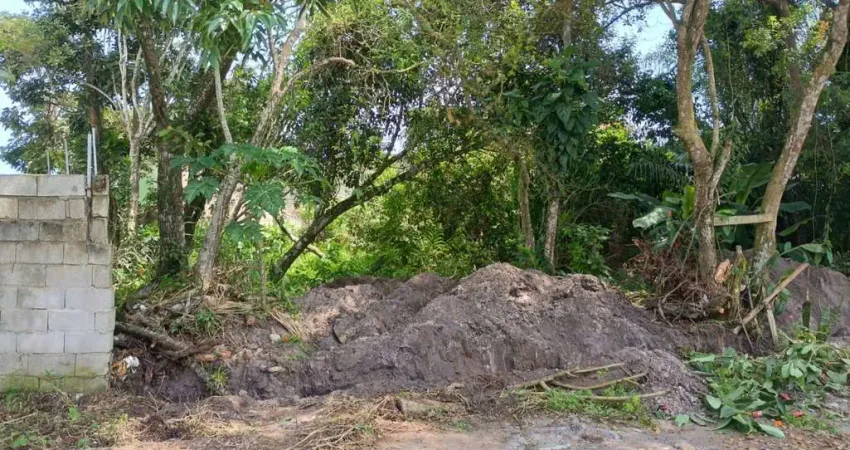 Terreno à venda no Jardim das Palmeiras, Itanhaém 