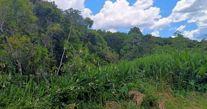Terreno para Venda em Itanhaém, Balneário Beatriz
