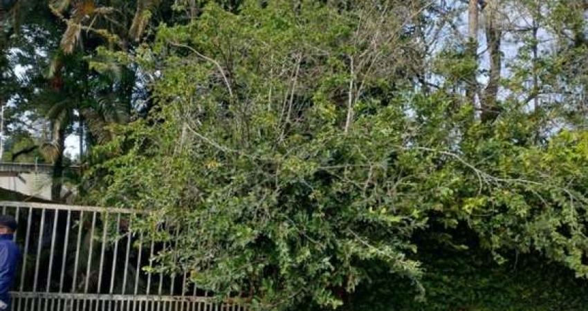 Terreno à venda no Parque Novaro, Itanhaém 