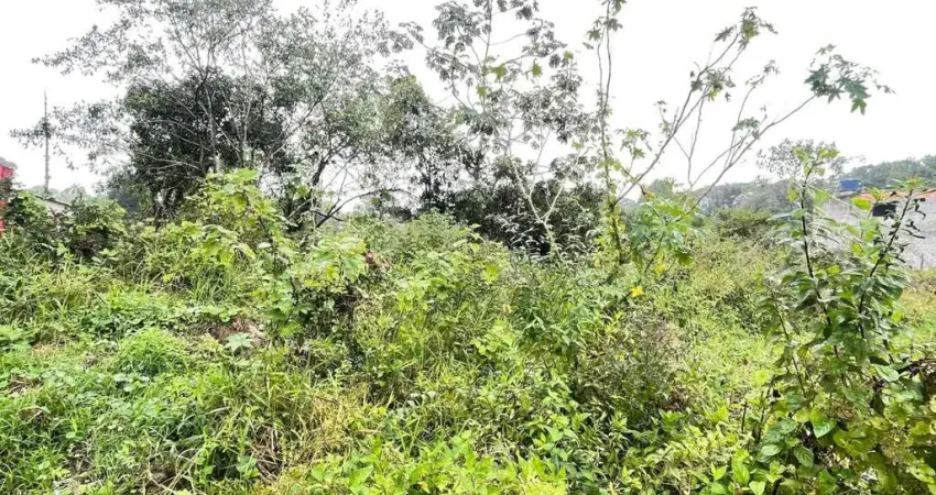 Terreno à venda no Jardim Coronel, Itanhaém 