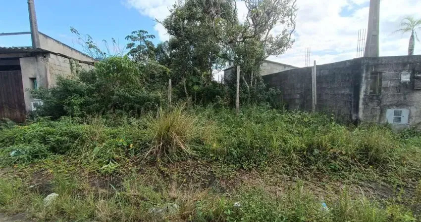 Terreno para Venda em Itanhaém, Jardim das Palmeiras