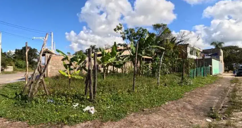 Terreno para Venda em Itanhaém, Jardim das Palmeiras