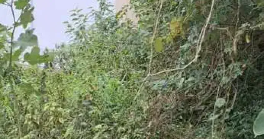 Terreno à venda no Cibratel II, Itanhaém 