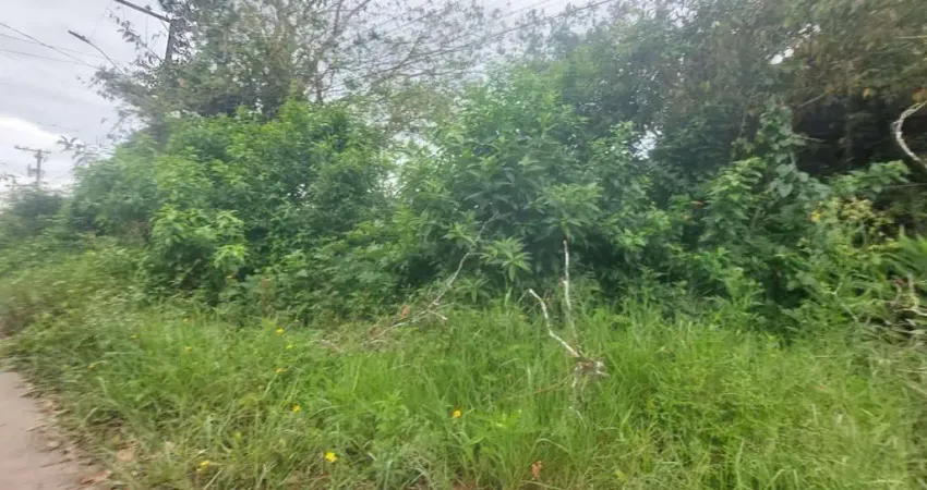 Terreno à venda em Indaiá, Itanhaém 
