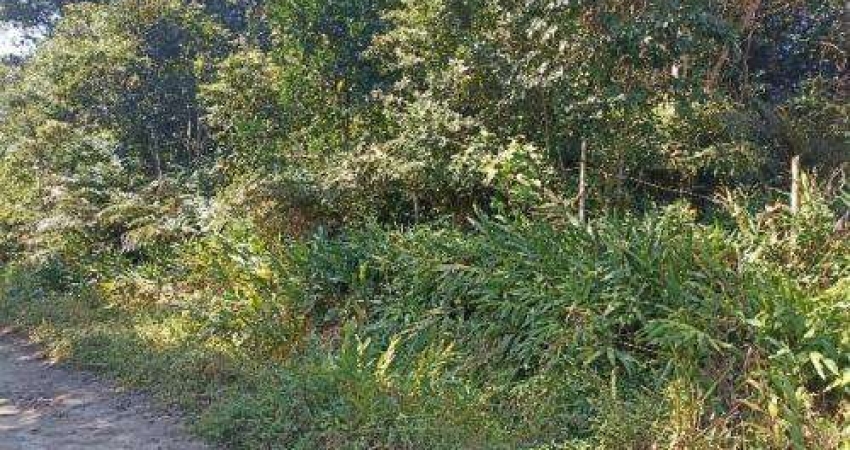 Terreno à venda no São Fernando, Itanhaém 