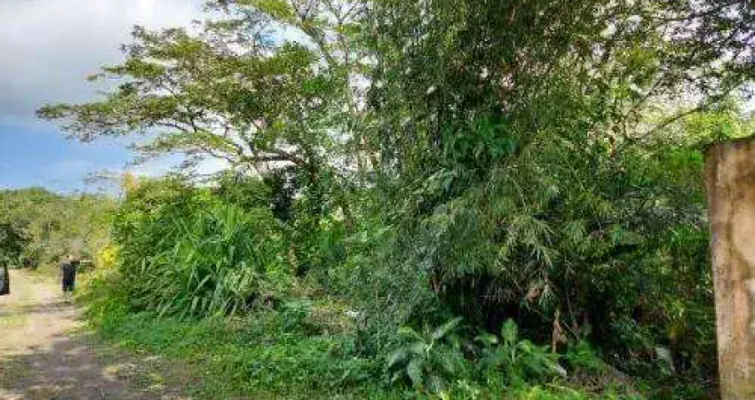 Terreno à venda no Jardim Tropical, Itanhaém 