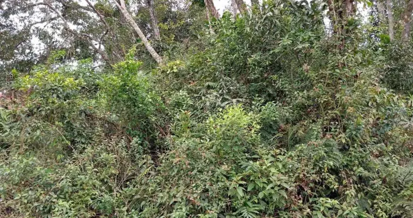 Terreno à venda no Jardim Coronel, Itanhaém 
