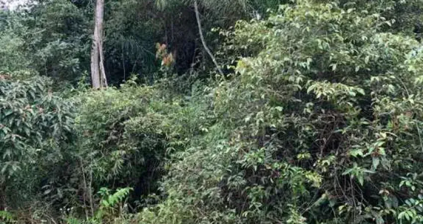 Terreno à venda na Zona Rural, Iguape 