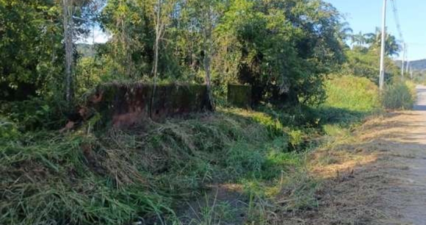 Terreno para Venda em Itanhaém, Nossa Senhora Do Sion
