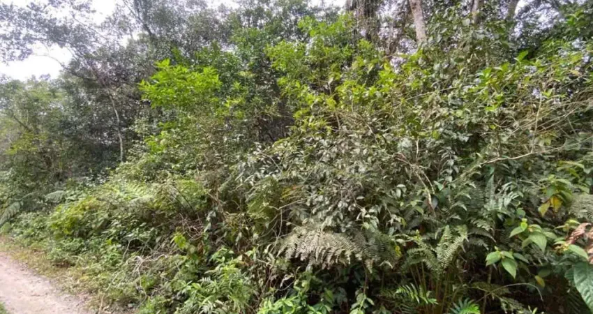 Terreno à venda no Jardim Coronel, Itanhaém
