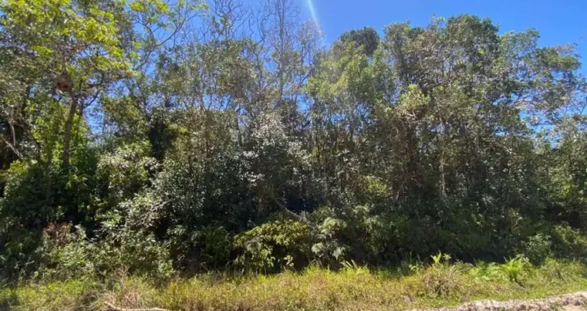Terreno à venda no São Fernando, Itanhaém 