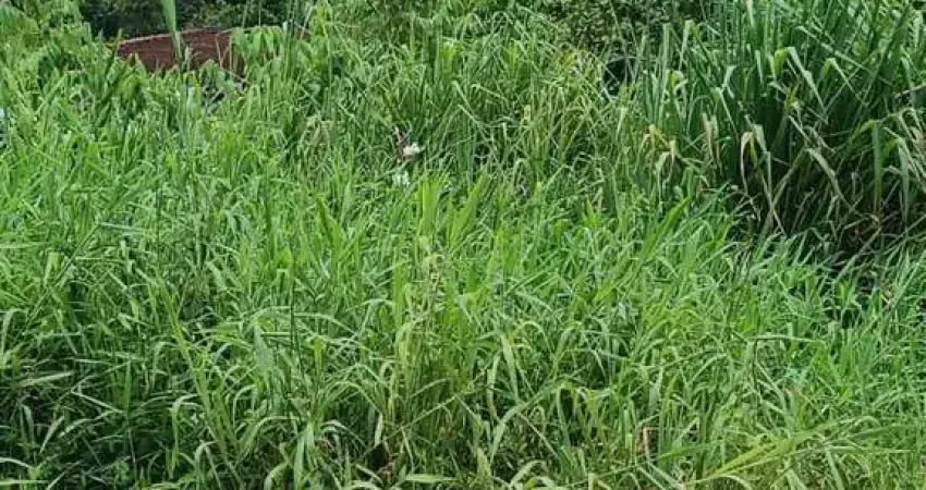 Terreno à venda no Jardim Grandesp, Itanhaém