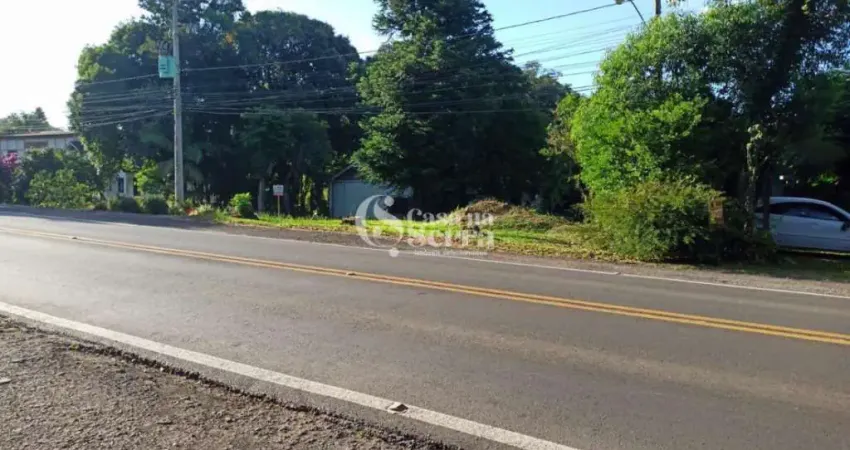 AMPLO TERRENO ÀS MARGENS DA RS-235 EM NOVA PETRÓPOLIS, A 5MIN DA PRAÇA DAS FLORES