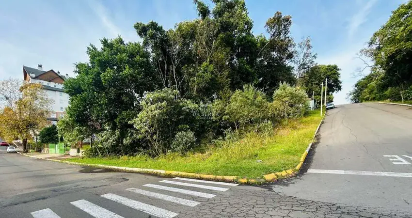 Amplo terreno à venda a 3min da praça das flores em nova petrópolis - oportunidade de investimento